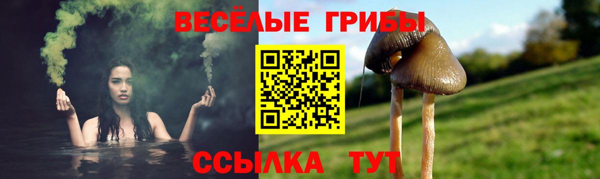 Галлюциногенные грибы Psilocybine cubensis  Вход с VPN  Соликамск  Галлюциногенные грибы Cubensis 